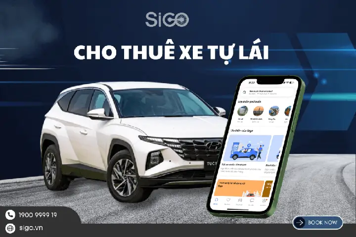 Cho Thuê Xe Ô Tô Tự Lái Tam Kỳ