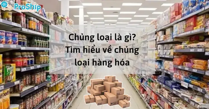 Chủng Loại Xe Ô Tô Là Gì