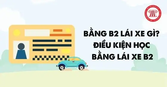 Điều Kiện Học Bằng Lái Xe Ô Tô Hạng B2