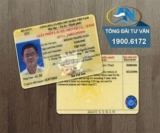 Gộp Bằng Lái Xe Ô Tô Và Xe Máy