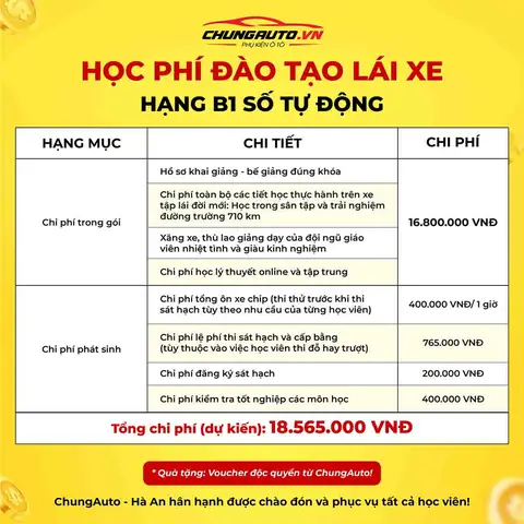 Học Bằng Lái Xe Ô Tô Online