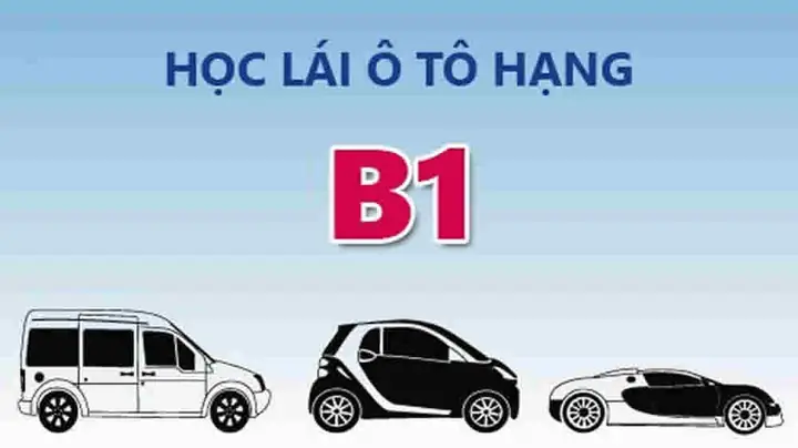Học Lái Xe Ô Tô B1
