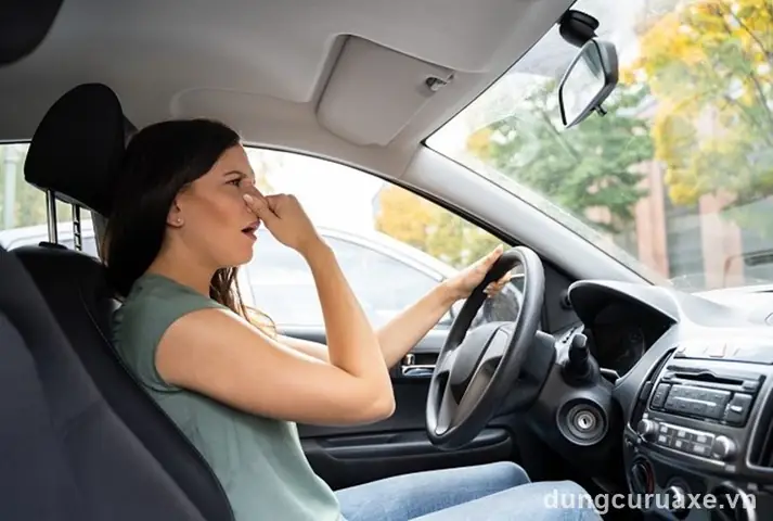 Khử Mùi Hải Sản Trên Xe Ô Tô