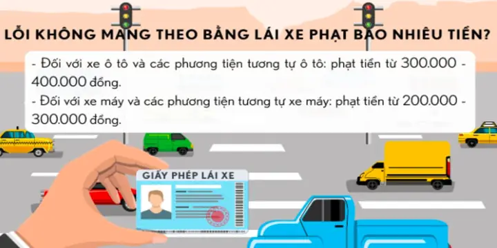 Lỗi Quên Bằng Lái Xe Ô Tô