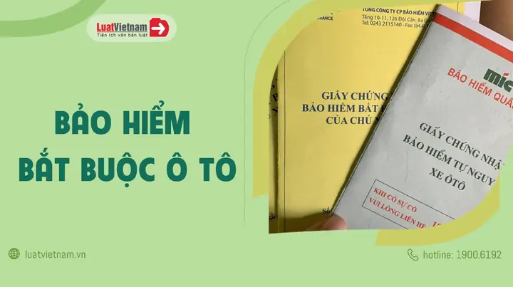 Luật Bảo Hiểm Xe Ô Tô