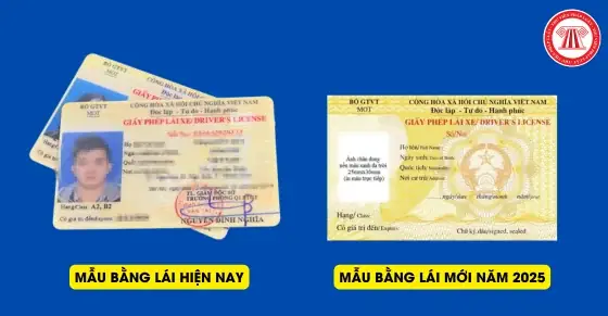 Mẫu Bằng Lái Xe Ô Tô Mới