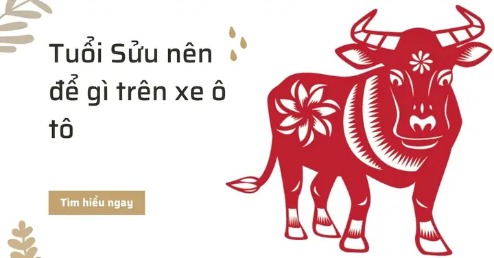 Nên Để Gì Trên Xe Ô Tô