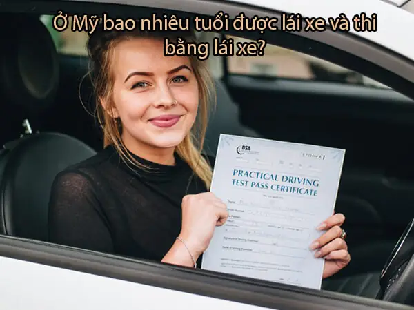 Ở Mỹ Bao Nhiêu Tuổi Được Lái Xe Ô Tô