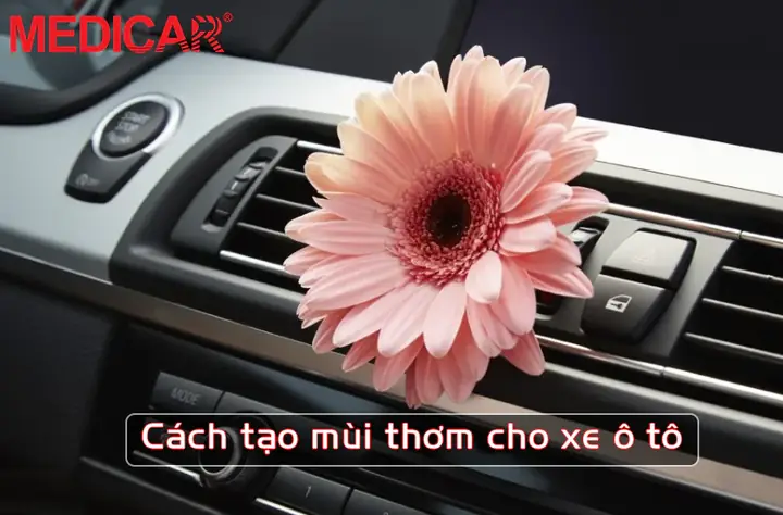 Tạo Mùi Thơm Cho Xe Ô Tô