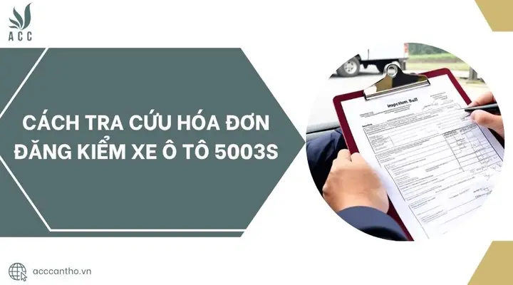 Tra Cứu Hóa Đơn Đăng Kiểm Xe Ô Tô 5003s