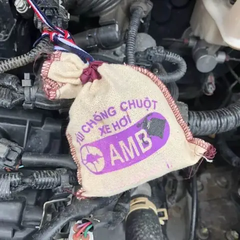 Túi Chống Chuột Xe Ô Tô