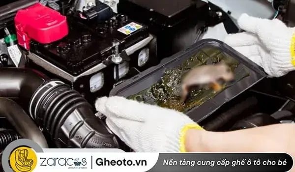 Cách Khử Mùi Hôi Chuột Trong Xe Ô Tô