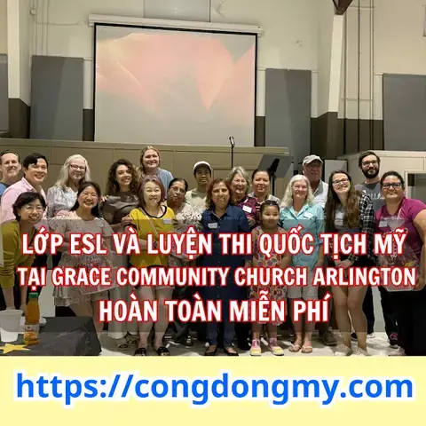 Đăng Kiểm Xe Ô Tô Tiếng Anh Là Gì