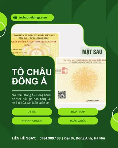 Đổi Bằng Lái Xe Ô Tô Ở Quảng Ninh