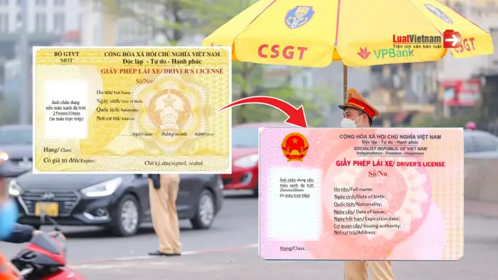 Đơn Xin Cấp Lại Giấy Phép Lái Xe Ô Tô