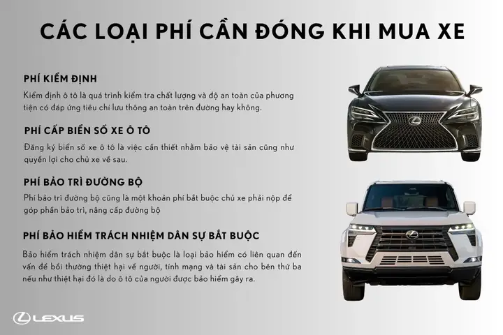 Đóng Thuế Xe Ô Tô