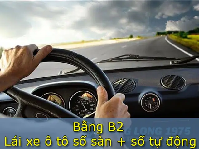 Khóa Học Lái Xe Ô Tô