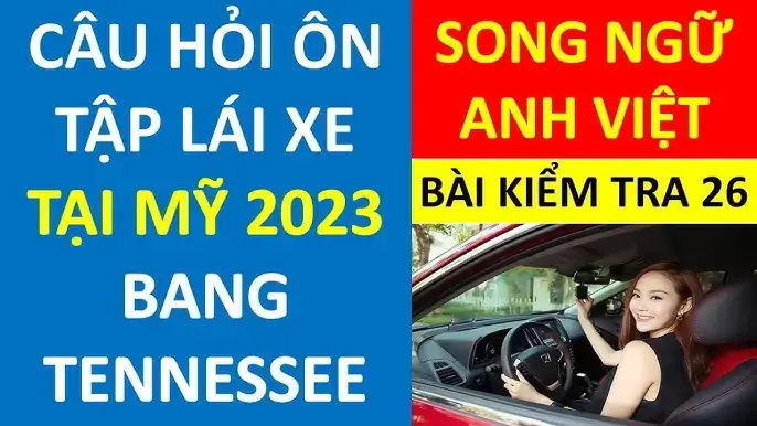 Kiểm Tra Lý Lịch Xe Ô Tô