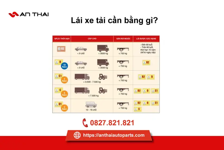 Lái Được Xe Ô Tô Cần Bằng Gì
