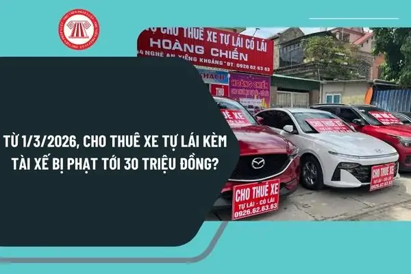 Luật Cho Thuê Xe Ô Tô