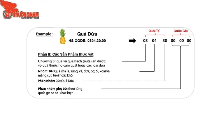 Mã Hs Code Vỏ Xe Ô Tô: Hướng Dẫn Chi Tiết Và Những Điều Cần Biết ...