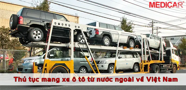 Mang Xe Ô Tô Về Việt Nam