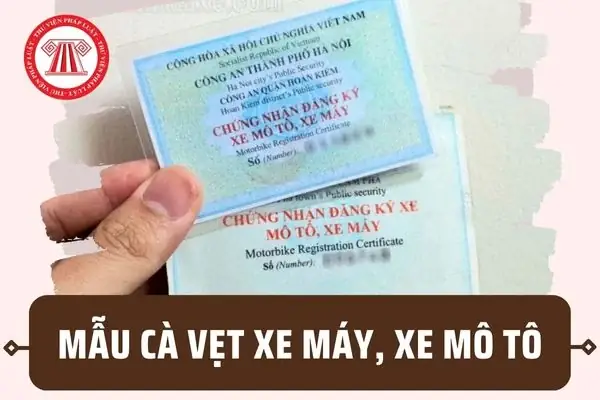 Mẫu Cà Vẹt Xe Ô Tô