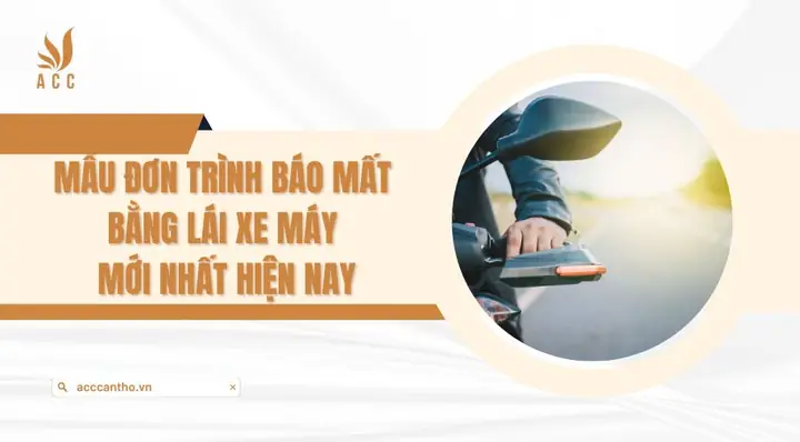 Mẫu Đơn Báo Mất Bằng Lái Xe Ô Tô
