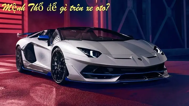 Mệnh Thổ Nên Để Gì Trong Xe Ô Tô