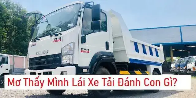 Mơ Hai Xe Ô Tô Mầu Đen