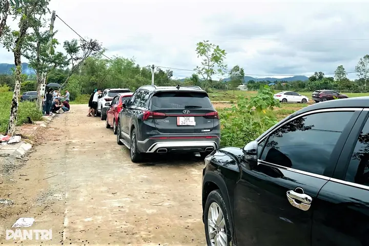 Môi Giới Xe Ô Tô
