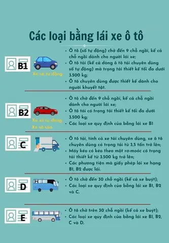 Quy Định Loại Xe Ô Tô Con