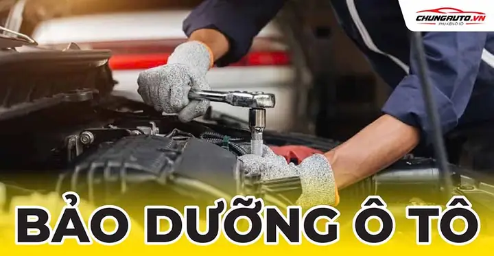 Quy Định Về Bảo Dưỡng Sửa Chữa Xe Ô Tô