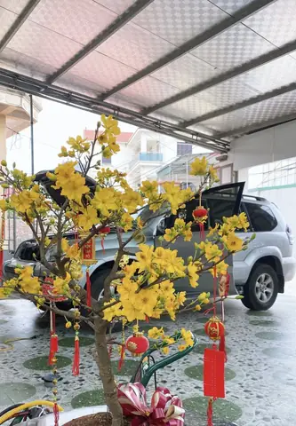 Sơn Xe Đánh Bóng Ô Tô Otofun.net