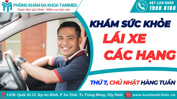 Sức Khỏe Lái Xe Ô Tô