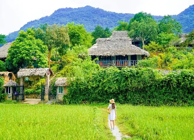 Tham Khảo Giá Xe Ô Tô Đi Mai Châu