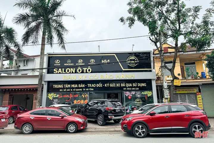 Thiị Trường Xe Ô Tô Cũ Bình Định