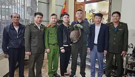 Thông Báo Tìm Chủ Sở Xe Ô Tô Baohatinh