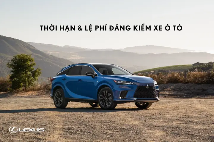 Thủ Tục Và Lệ Phi Xe Ô Tô