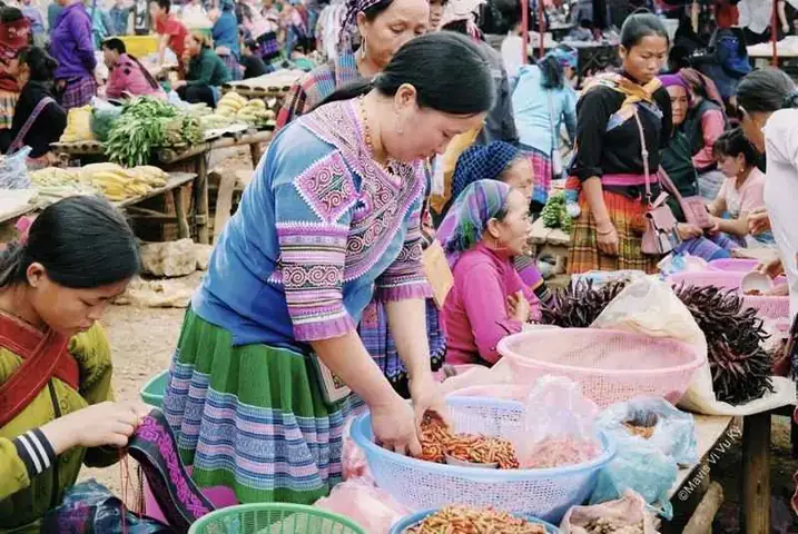 Thuê Xe Ô Tô Tại Bắc Hà