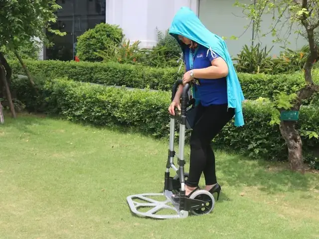 Thùng Đựng Đồ Cốp Xe Ô Tô Sendo