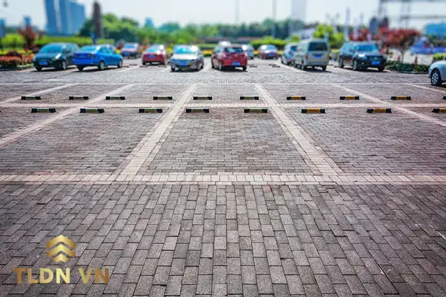 Trông Giữ Xe Ô Tô Mã Ngành
