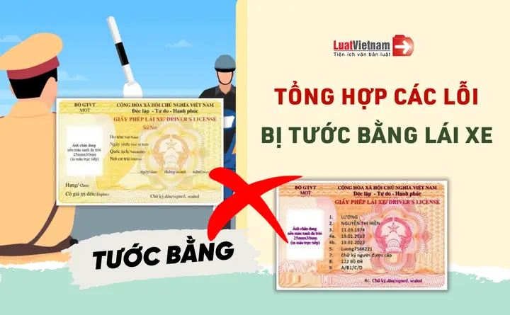 Tước Bằng Lái Xe Ô Tô