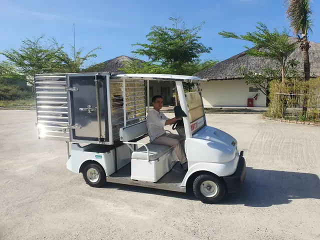 Xe Ô Tô Điện Chở Hàng